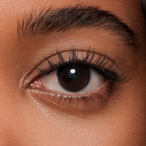 SILK LIFT Plume Noir